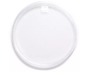 Caja Petri estéril