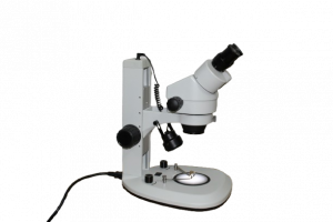 Estereomicroscopio GC