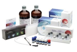 Patrones y kits para análisis de aminoácidos