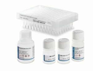 Kits y componentes de SPE OligoWorks