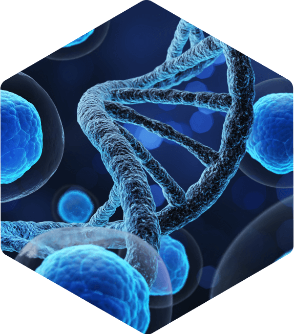 Nuestra pasión es darte el mejor servicio