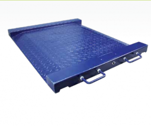 Plataforma para silla de ruedas PTM